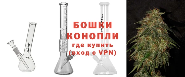 ПСИЛОЦИБИНОВЫЕ ГРИБЫ Вязники