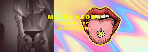 ПСИЛОЦИБИНОВЫЕ ГРИБЫ Вязники