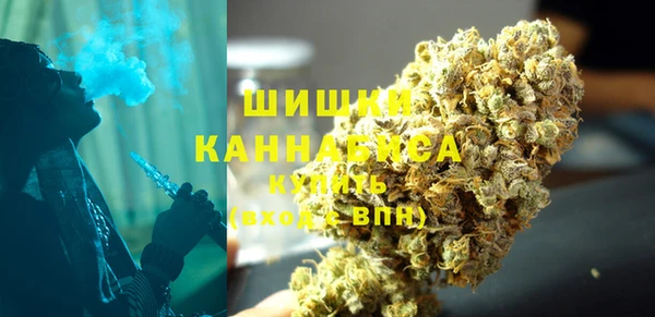 ПСИЛОЦИБИНОВЫЕ ГРИБЫ Вязники