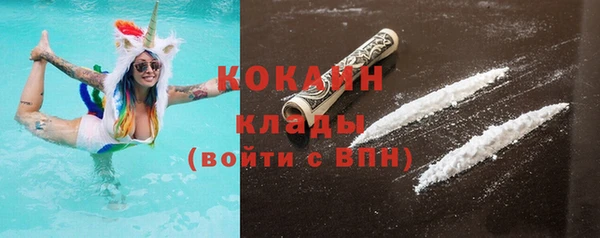 ПСИЛОЦИБИНОВЫЕ ГРИБЫ Вязники