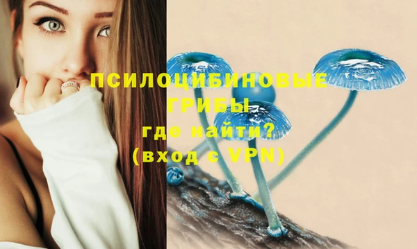 кокаин премиум Вяземский