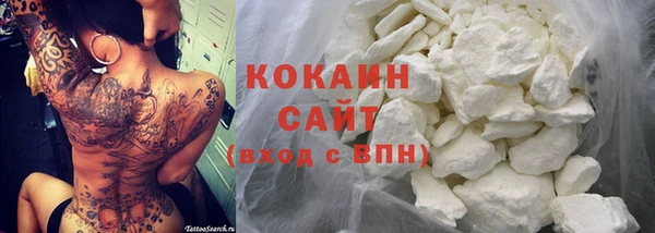 ПСИЛОЦИБИНОВЫЕ ГРИБЫ Вязники