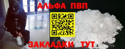 гашик Кингисепп