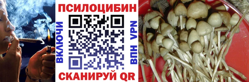 mega ONION  Малоярославец  Псилоцибиновые грибы GOLDEN TEACHER 